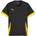 Vyri&scaron;kas mar&scaron;kinėlis Puma teamGoal Matchday Jersey, juodai-geltonas 705747 26, L
