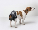 Sauskelnės &scaron;unims Savic Nappy T2, 34-34 cm, 12 vnt.