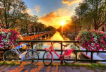 Medinė dėlionė Amsterdamo dviračiai, 300 vnt.