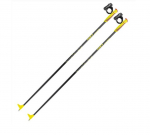 Slidinėjimo lazdos Leki XTA 5.5 Junior 100 cm, juodos