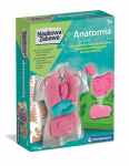 Mokslo įdomybės Anatomija - Clementoni