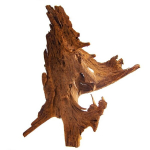 Akvariumo mangrovės medis, XL dydis, apie 40&ndash;50 cm