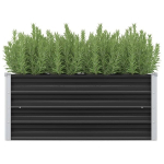 VidaXL sodo lovelis 45cm