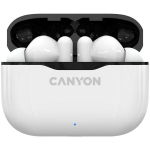 Canyon TWS-3 CNE-CBTHS3W