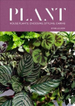 Plant: House plants: choosing, styling, caring