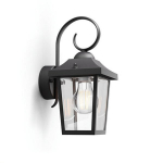 Sieninis lauko &scaron;viestuvas Philips Buzzard 60 W