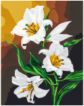 Pie&scaron;imo rinkinys Baltos lelijos 40x50