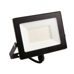 Lauko prožektorius Eco Light, 50 W, LED