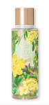 Parfumuota kūno dulksna Victoria's Secret Wild Willow, 250 ml
