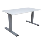 Ra&scaron;omasis stalas ERGO OPTIMAL su 2 varikliais 140x80cm, pilk&scaron;vai baltas