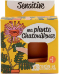 Auginimo rinkinys vaikams Radis et Capucine Jautrioji mimoza