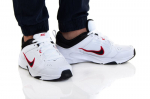 Sportiniai batai vyrams Nike Defyallday DJ1196101