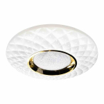 Plafonas TOKYO GOLD 48W &Oslash;500 mm + nuotolinio valdymo pultas