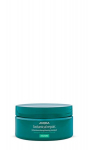 Intensyviai atkurianti plaukų kaukė Aveda Botanical Repair 200 ml