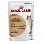 Royal Canin suaugusioms katėms Intense Beauty in Gravy Pouch 12x85 g
