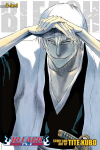 Bleach (3-in-1 Edition), Vol. 7: Includes vols. 19, 20 & 21, Vols. 19, 20 & 21, 3-in-1 Edition