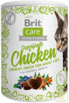 Brit Care skanėstai Superfruits su vi&scaron;tiena, 100 g