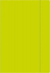 Aplankas su gumyte A4+ Fluo žalias (10 vnt.)