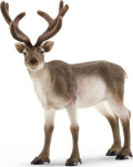 Figūrėlė &Scaron;iaurės elnias Schleich