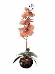 Dirbtinė orchidėja Mercedes, 55 cm