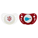 Čiulptukai Chicco Physioforma, 2 vnt, 16-36 mėn