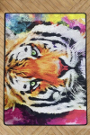 Asir kilimas Mava Djt 120x180 cm