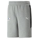 Laisvalaikio vyri&scaron;ki &scaron;ortai PUMA BMW MMS Sweat Shorts 8.6&nbsp;53813403, pilki