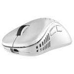 Pulsar Xlite V2