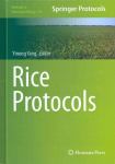 Rice Protocols 2013 ed.