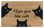Hanse Home durų kilimėis Mix Mats Cocos 45x75 cm