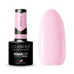 CLARESA hibridinis lakas 2 -5g