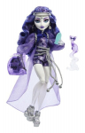 Lėlė su priedais Monster high Spectra