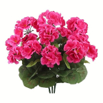 3vnt, Dirbtinės Pelargonijos Laukui UV Atsparios Gėlės, Rosey