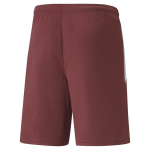 PUMA futbolo &scaron;ortai vyrams PUMA teamLIGA Shorts Cordovan-Puma White - 70492409, rudi