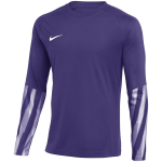 Vyri&scaron;kas mar&scaron;kinėlis Nike Dri-Fit Park V Stadium, violetinis, HV8314 507