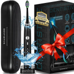 Dentisme Model Pro
