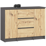 Komodoa Akord K100 2D 3SZ, 101x35x76 cm, pilka/ruda