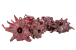 Valgomosios hibisko gėlės su cukrumi, 1 kg