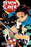 Komiksas Manga Demon slayer vol 1