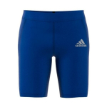 Termo &scaron;ortai vyrams Adidas Techfit Tights M GU4915, mėlyni