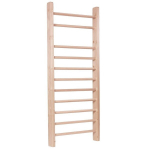 &Scaron;vedi&scaron;ka gimnastikos sienelė Insportline Steadyline, 250 x 90 cm