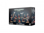 Adepta Sororitas Battle Sisters Squad, 52-20