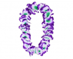 Havajų karoliai, violetinė