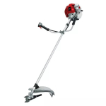 Benzininis trimeris Dedra-Exim 1250W