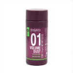 Apimties suteikianti plaukų pudra Volume Dust Salerm, 10 g
