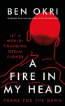 Fire in My Head