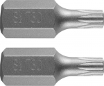 Antgalis Torx T30 x 30mm S2 (2 vnt.)