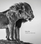 One Life 14th edition