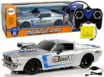 Lean toys R/C sportinis automobilis 1:16 Silver Blue Stripes Pilot