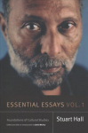 Essential Essays: Foundations of Cultural Studies (Volume 1)